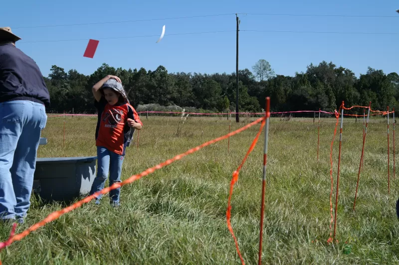 November 1, 2014 Launch