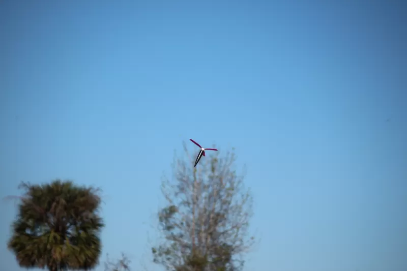 February 2, 2013 Launch