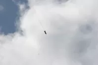 September 2, 2006 Launch